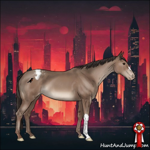 Horse Color:Classic Champagne Appaloosa 