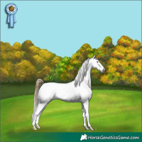 Horse Color:Sable Cream Champagne Appaloosa 
