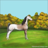Horse Color:Classic Champagne Snowflake Varnish
