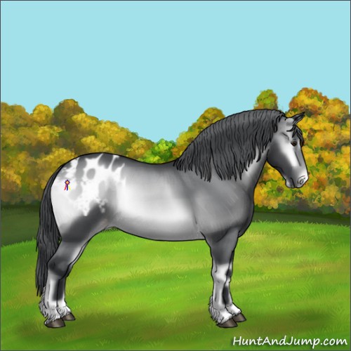 Horse Color:Brown Chinchilla Onyx Appaloosa Rabicano