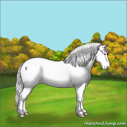 Horse Color:Silver Sable Champagne Chinchilla Pearl Onyx Tobiano Varnish Rabicano