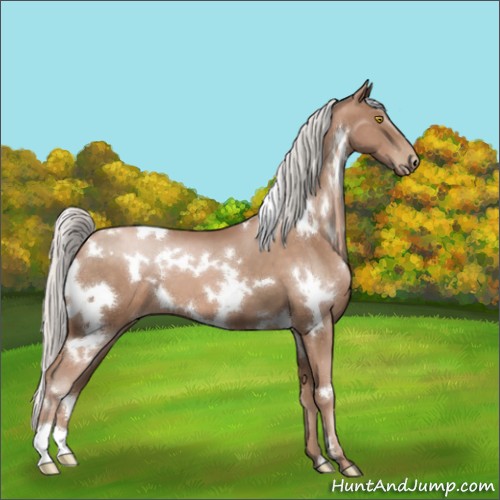 Horse Color:White Spotted Silver Brown Pearl Mushroom 