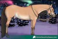 Horse Color:Bay Dun