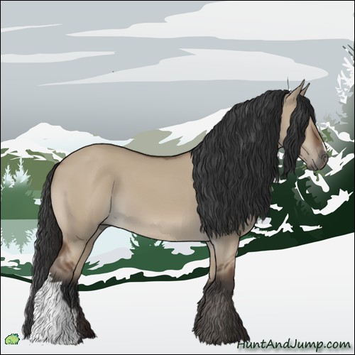 Horse Color:Bay Dun
