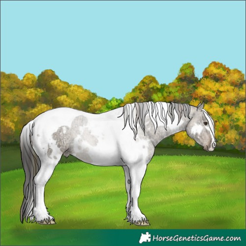 Horse Color:Plaid  White Spotted Liver Red Dun Ice Tobiano 