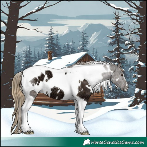 Horse Color:Plaid  White Spotted Liver Chestnut Ice Tobiano 