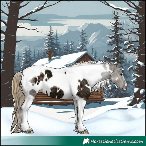 Horse Color:Plaid  White Spotted Liver Chestnut Ice Tobiano 