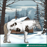 Horse Color:Plaid White Spotted Liver Chestnut Ice Tobiano
