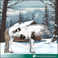 Horse Color:Plaid  White Spotted Liver Chestnut Ice Tobiano 