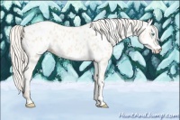 Horse Color:Cremello Near Leopard 