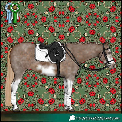 Horse Color:Chocolate Palomino Sabino Splash Frame 