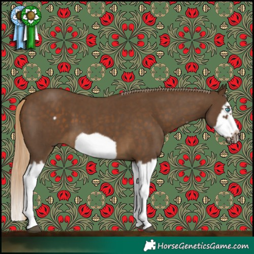 Horse Color:Chocolate Palomino Sabino Splash Frame 