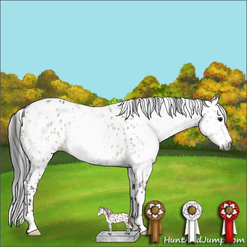 Horse Color:Gray Bay Dun Leopard 