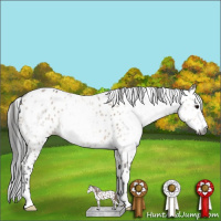 Horse Color:Gray Bay Dun Leopard 