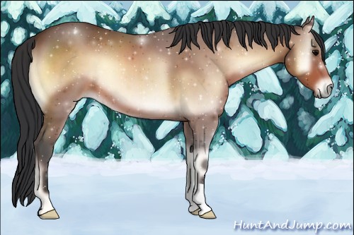 Horse Color:Brown Onyx 