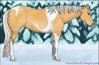 Horse Color:Silver Buckskin Sabino Tobiano Rabicano