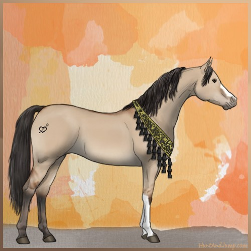Horse Color:Bay Dun