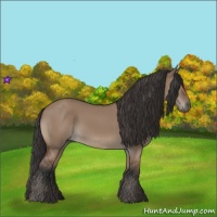 Horse Color:Bay Dun