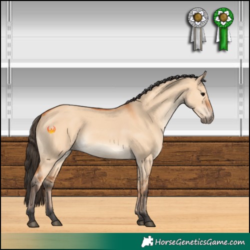 Horse Color:Bay Dun