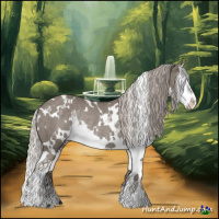 Horse Color:White Spotted Silver Grullo Splash Rabicano