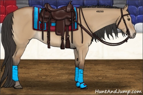 Horse Color:Bay Dun