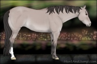Horse Color:Platinum Bay Dun 