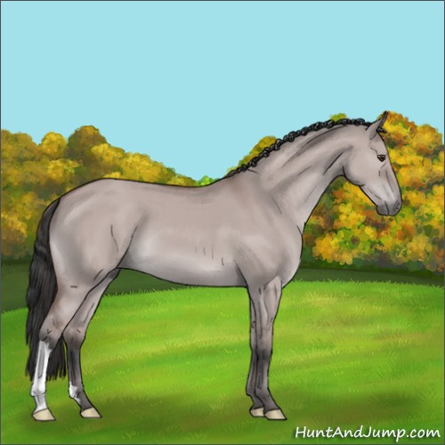 Horse Color:Platinum Bay Dun
