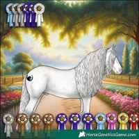 Horse Color:White Spotted Silver Classic Champagne Sabino Splash Appaloosa 