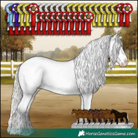Horse Color:Silver Bay Sabino Splash Appaloosa Rabicano