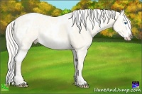 Horse Color:White Spotted Cremello Ice Dun Splash Frame Rabicano