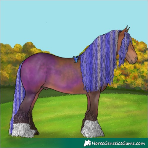 Horse Color:Painted Silver Bay 