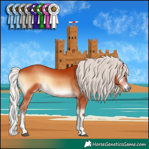 Horse Color:Silver Bay Onyx 