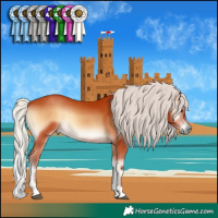 Horse Color:Silver Bay Onyx 