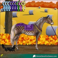 Horse Color:Liver Chestnut Mushroom Tobiano 