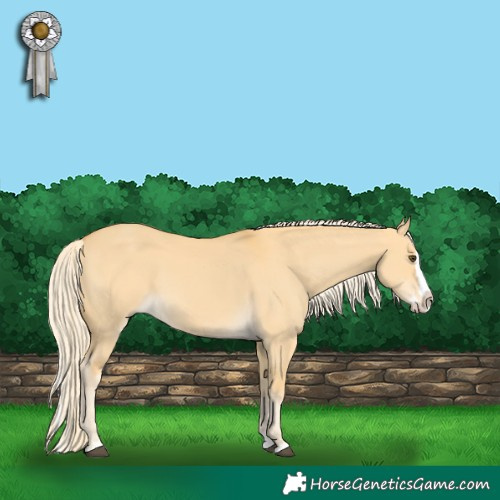 Horse Color:Palomino Dun Splash 