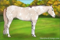 Horse Color:White Spotted Buckskin Ice Pearl Splash 