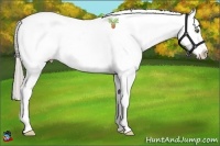 Horse Color:White Spotted Chocolate Palomino Ice Pearl Splash Blanket