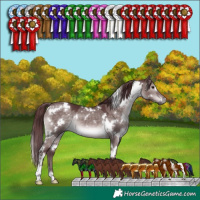 Horse Color:Platinum White Spotted Chocolate Brown Dun 