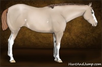 Horse Color:White Spotted Smoky Black Pearl 