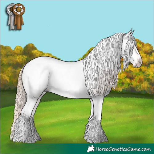 Horse Color:Gray Buckskin Pearl Dun Tobiano Appaloosa 