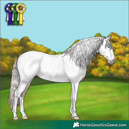 Horse Color:Gray Buckskin Pearl Dun Tobiano Appaloosa