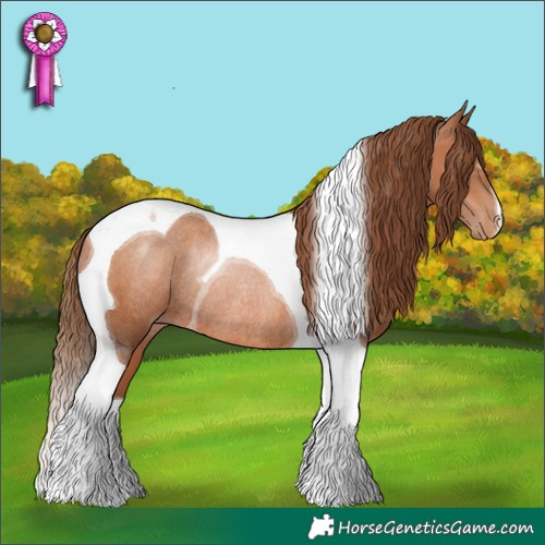 Horse Color:Brown Pearl Tobiano Rabicano 