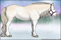 Horse Color:Perlino Splash  and Perlino Splash 