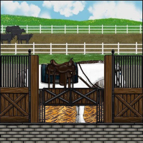 Horse Color:Liver Chestnut Sabino Splash Appaloosa