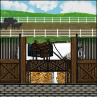 Horse Color:Liver Chestnut Sabino Splash Appaloosa