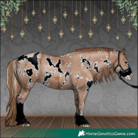 Horse Color:White Spotted Black Ice Pearl Sabino 