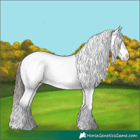Horse Color:Black Tobiano Appaloosa Rabicano 