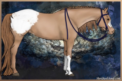 Horse Color:Chocolate Black Pearl Appaloosa