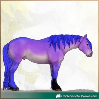 Horse Color:Void Watercolor Bay Tobiano 
