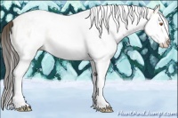 Horse Color:White Spotted Buckskin Splash 